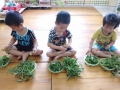 Lớp 3 tuổi trường Mầm non Đồng Tiến tích cực rèn kỹ năng sống cho trẻ