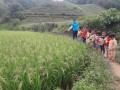Các hoạt động tham quan của cô và trò trường Mầm non Đồng Tiến
