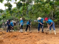Sáng ngày 20/4/2024 cán bộ giáo viên trường MN Đồng Tiến tham gia Lao động đổ sân bê tông tại điểm trường Buột.